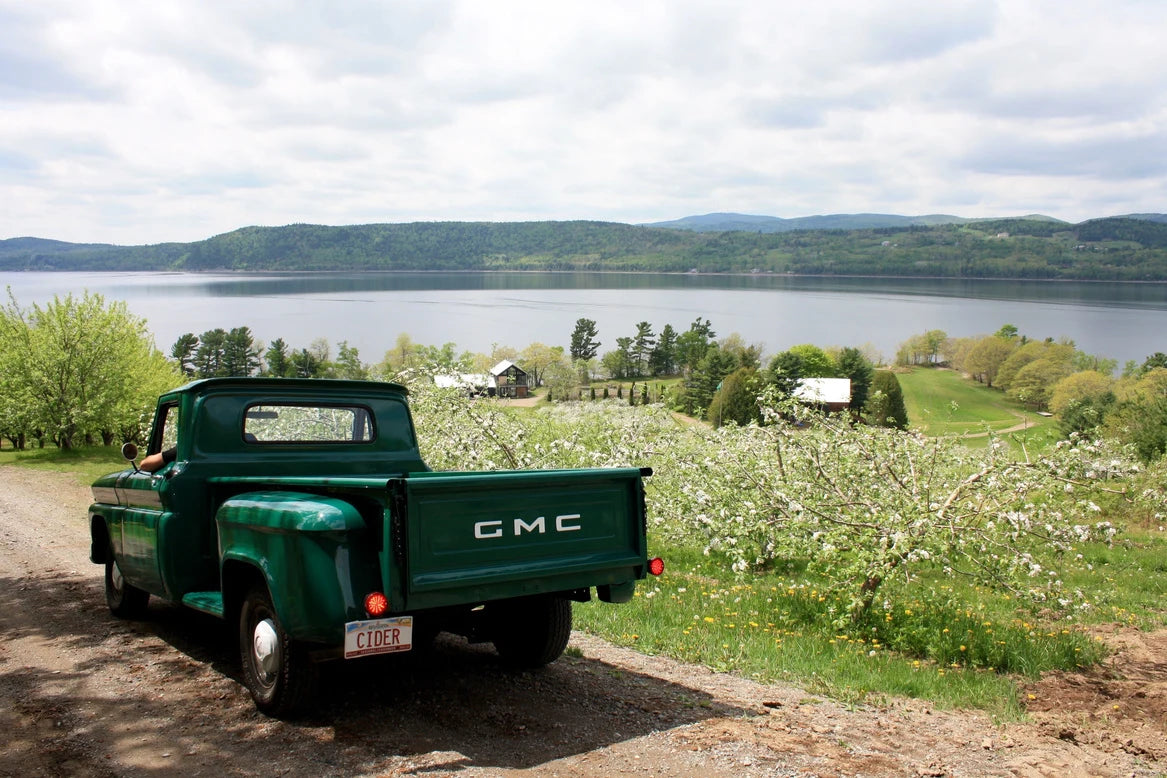 A vintage green truck among flowering apple trees at Mackay Apple Orchard above the Saint John River